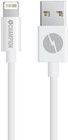 Champion Lightning Cable - 3 meter - Vit