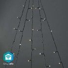 Nedis SmartLife Wifi Warm & Cold White Tree Lights 5 x 4m