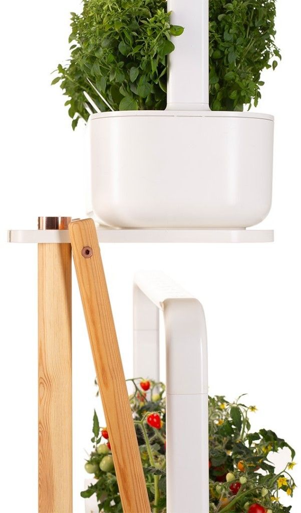 Click And Grow Smart Garden Plant Stand