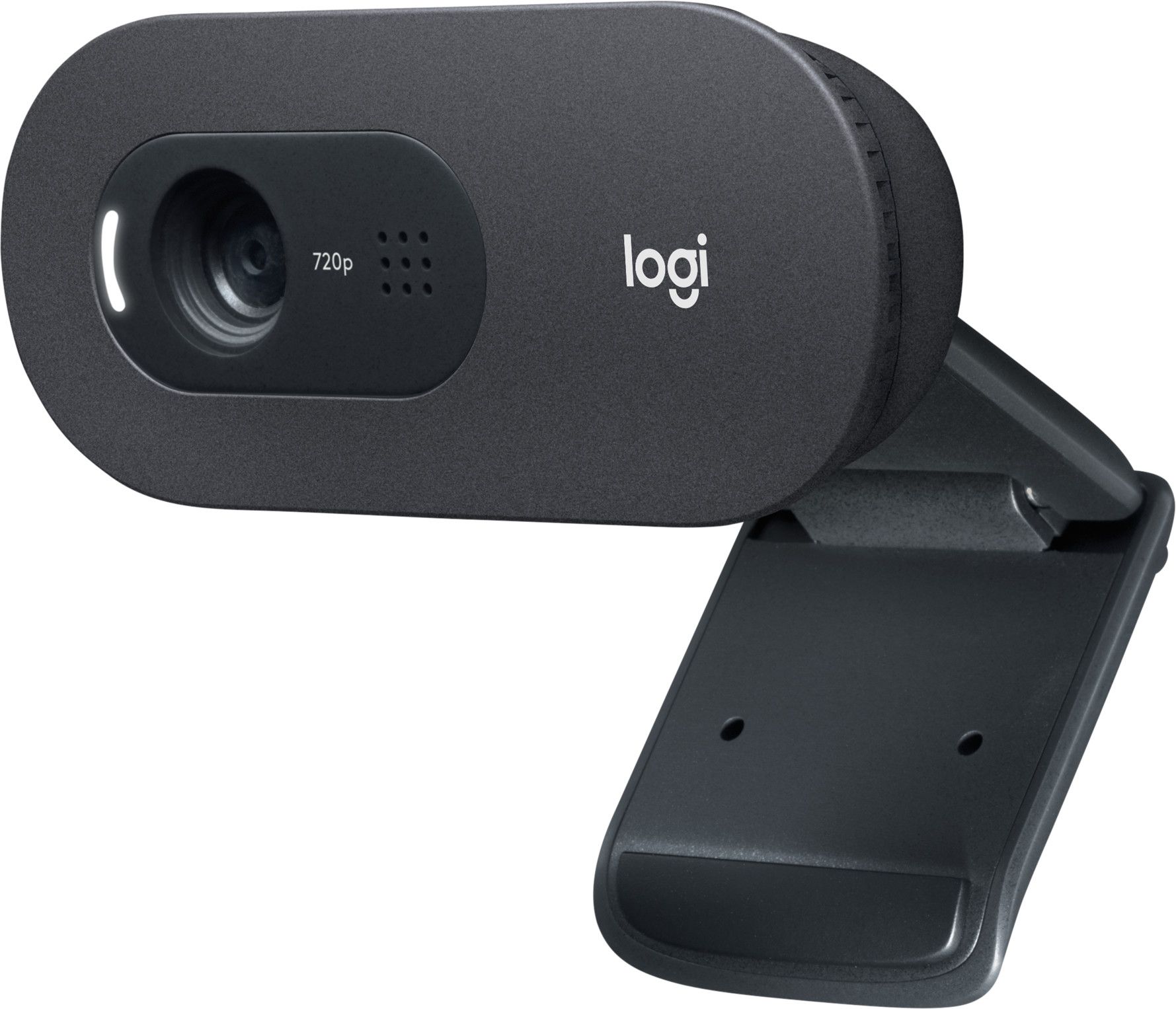 Logitech C505 HD Webcam