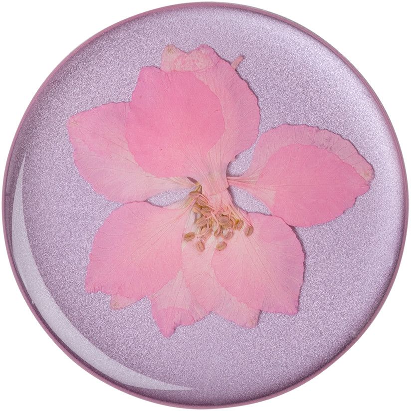 PopSockets PopGrip Pressed Flower Premium - White Daisy