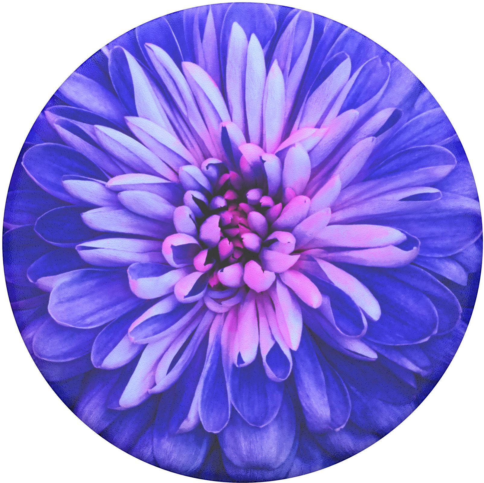 PopSockets PopTop - Flowers & Animals - Palm Leaf